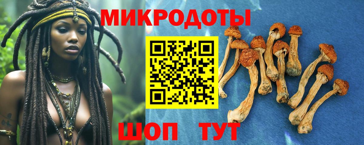 Псилоцибиновые грибы мухоморы Новый Уренгой